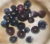 Davidson Plum Fruit