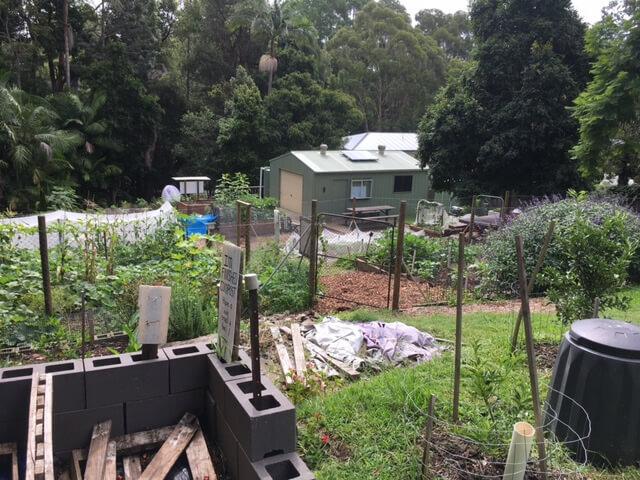 Edgeworth David community garden