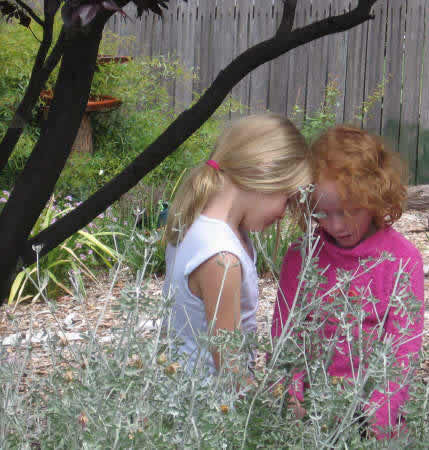 Children in the garden