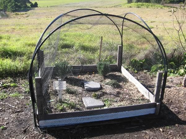 Netted garden bed