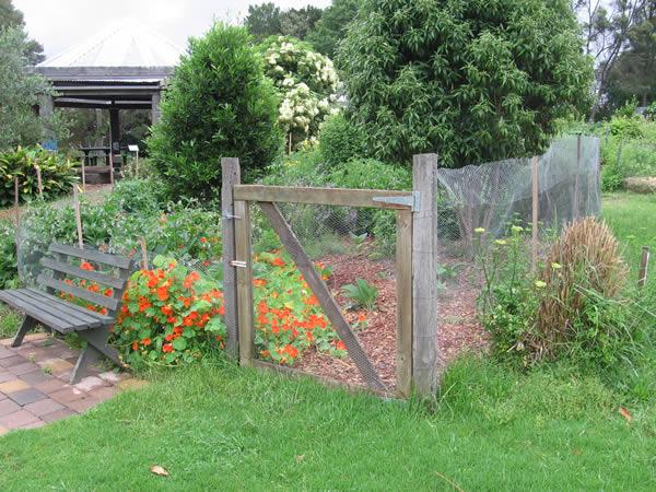 Fenced small garden