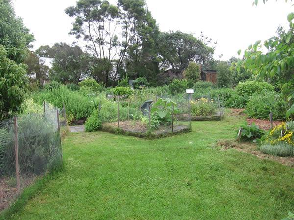 Large Fenced Garden