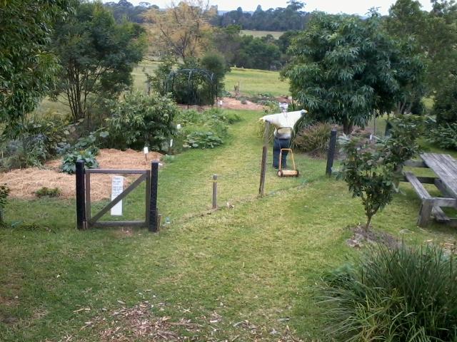 Green Manure Crops