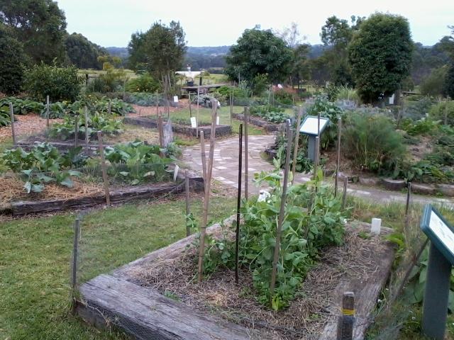 A larger garden