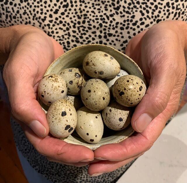 A handful of eggs