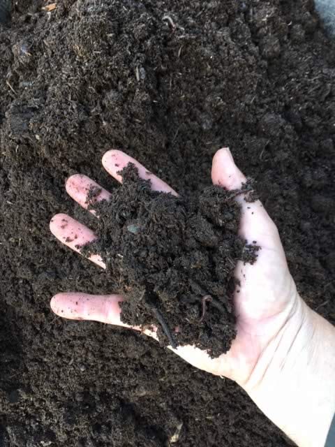 Compost ready to add