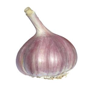 Organic Garlic bulb