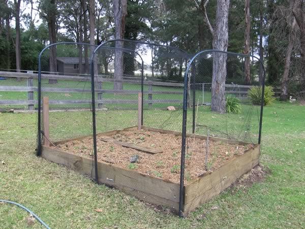 Vegetable bed netted